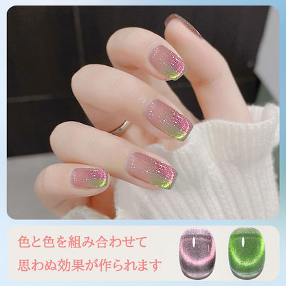Biutee Reflective Cat Eye Gel Set – 6 Sparkling Aurora Colors for DIY Nails